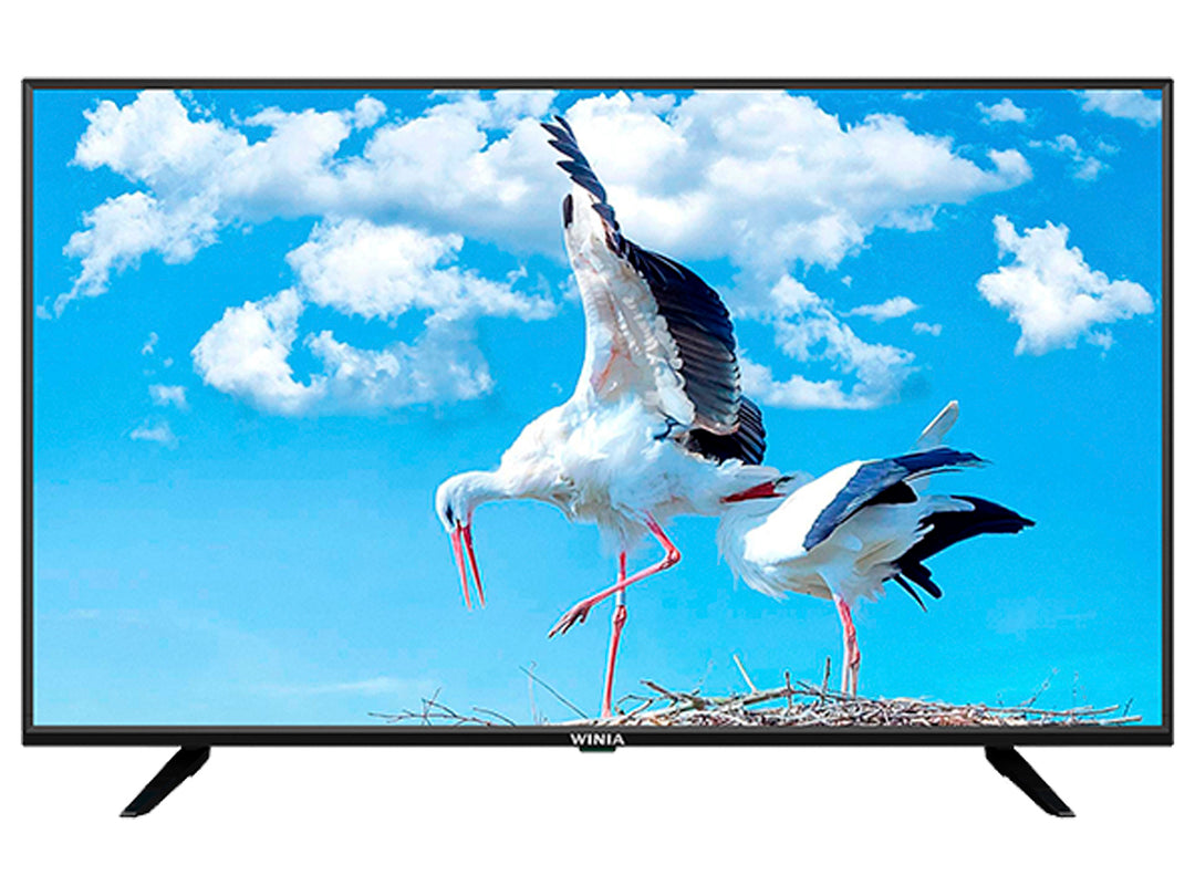 Televisor Smart TV Winia de 43 pulgadas color negro con pantalla FHD mostrando imagen de cigüeñas.