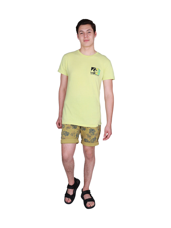 Hombre con camiseta de manga corta color verde pálido con logotipo de Quiksilver.
