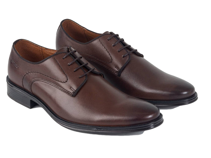 Zapato formal de cuero color café con cordones y suela negra.