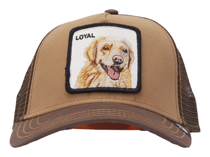 Gorra marrón de Goorin Bros con parche frontal blanco que muestra la imagen de un perro y la palabra LOYAL.