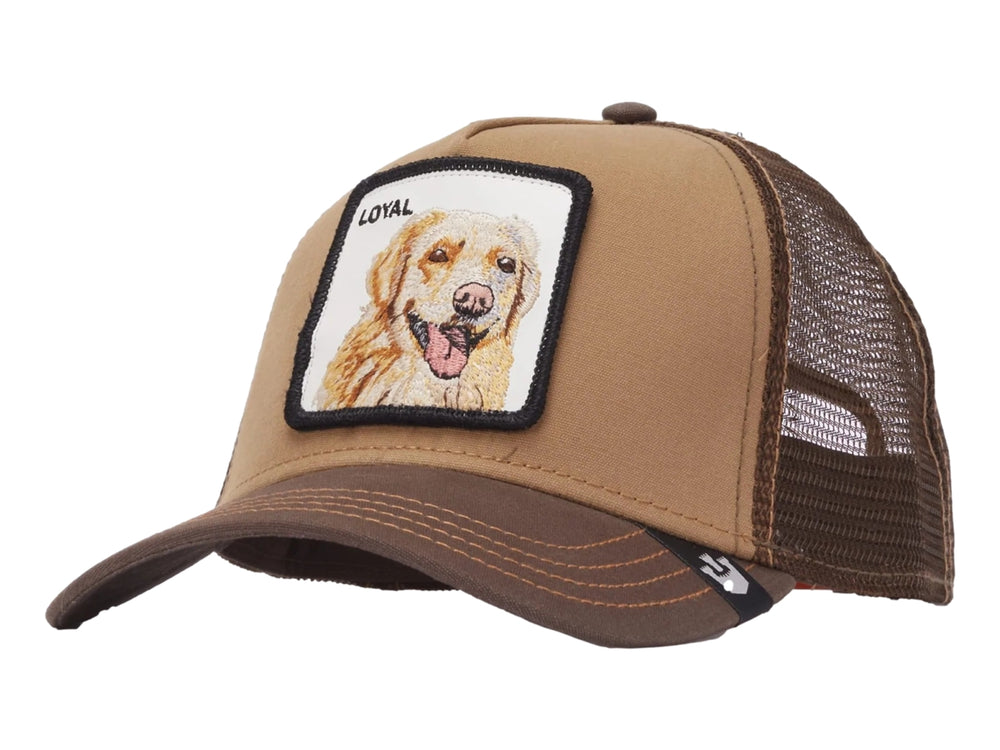Gorra marrón de Goorin Bros con parche frontal blanco que muestra la imagen de un perro y la palabra LOYAL.