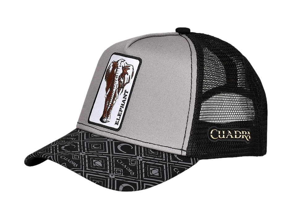 Gorra Cuadra en colores negro y gris con un parche frontal de un elefante y visera con estampado geométrico.
