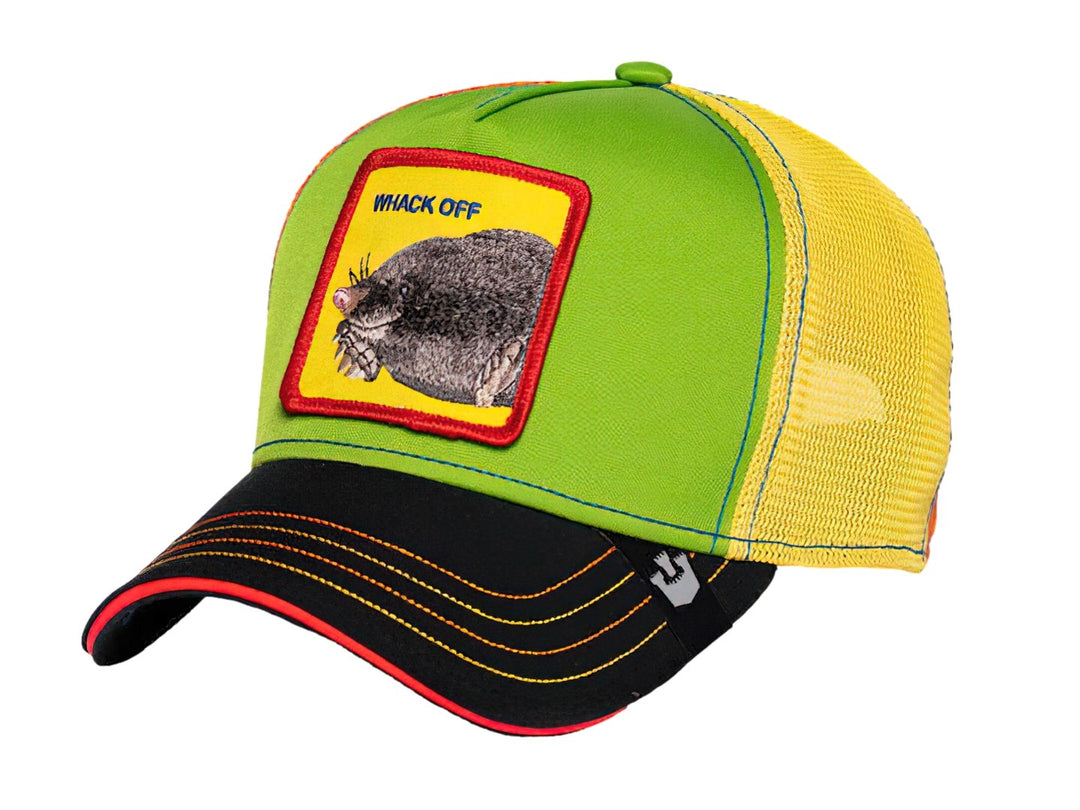 Gorra Goorin Bros Holey Moley Verde para Hombre