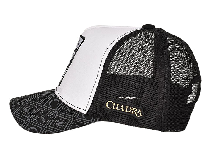 Gorra Cuadra Shark Gris para Hombre