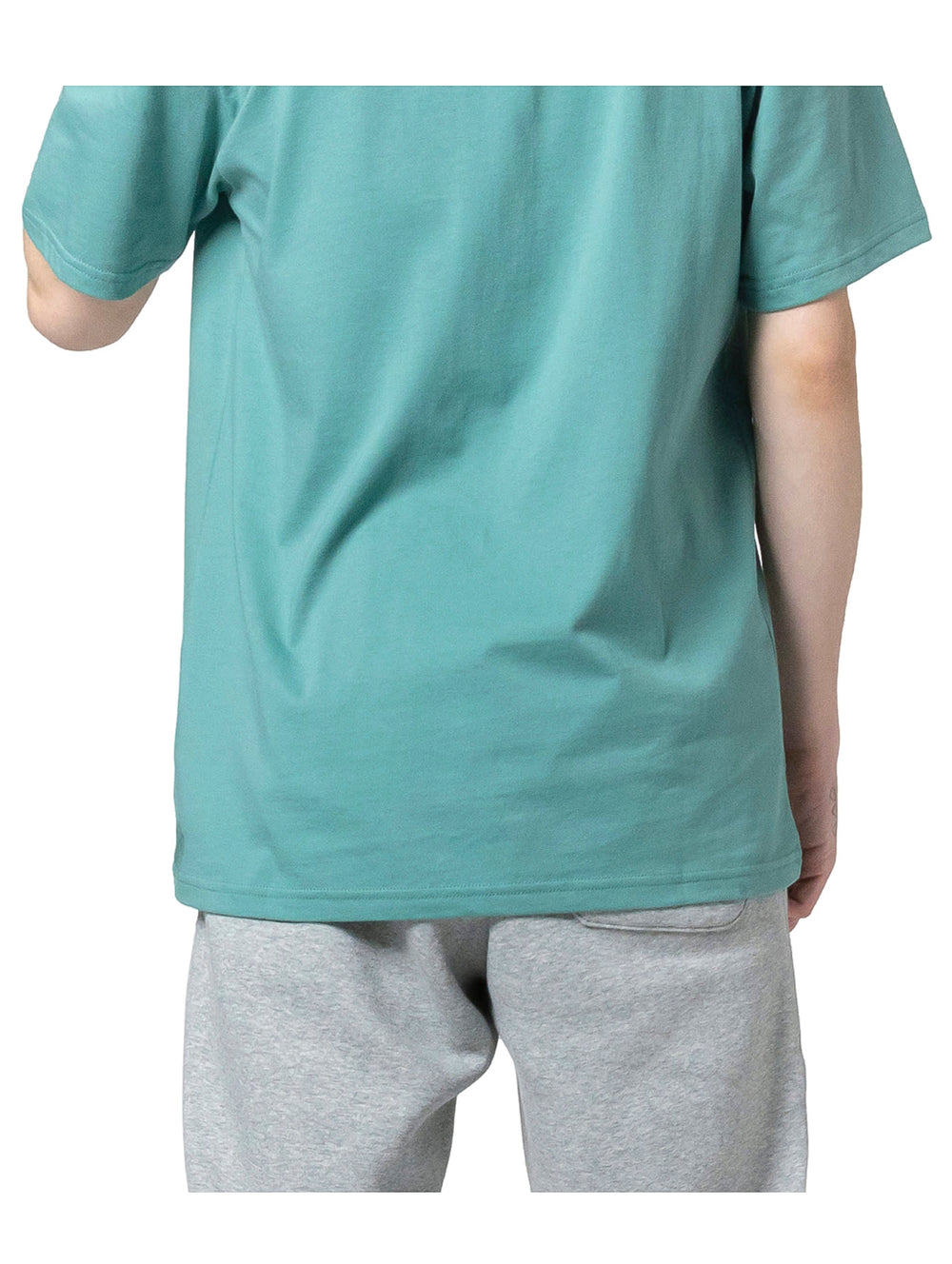 Playera Converse color verde Algae Coast con estampado gráfico colorido en el pecho y manga corta.