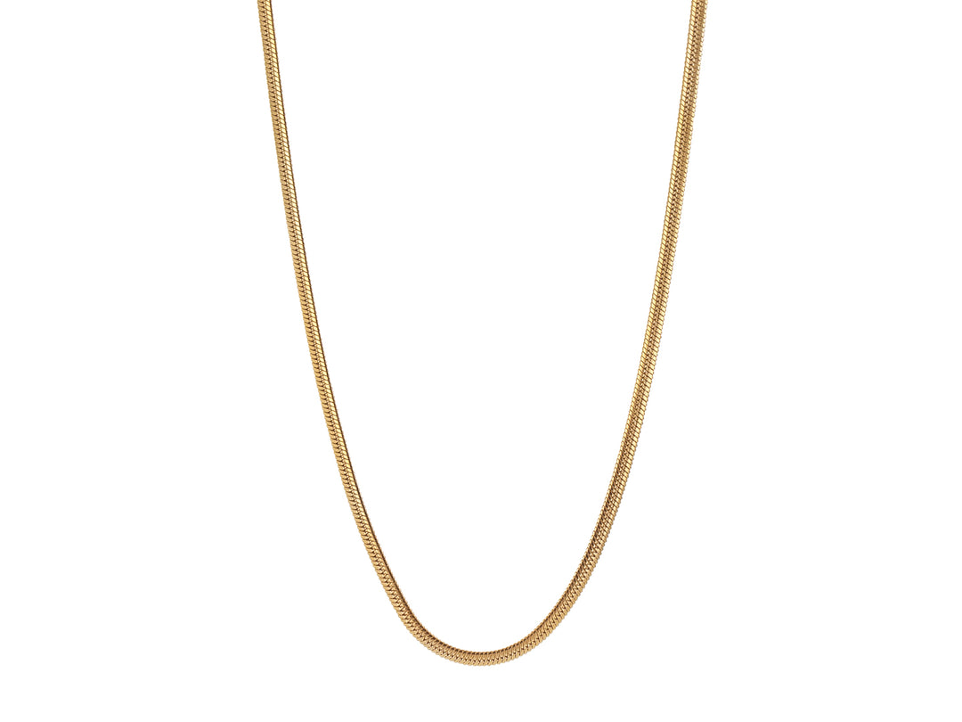 Collar de cadena delgada en color dorado con acabado brillante sobre fondo blanco.