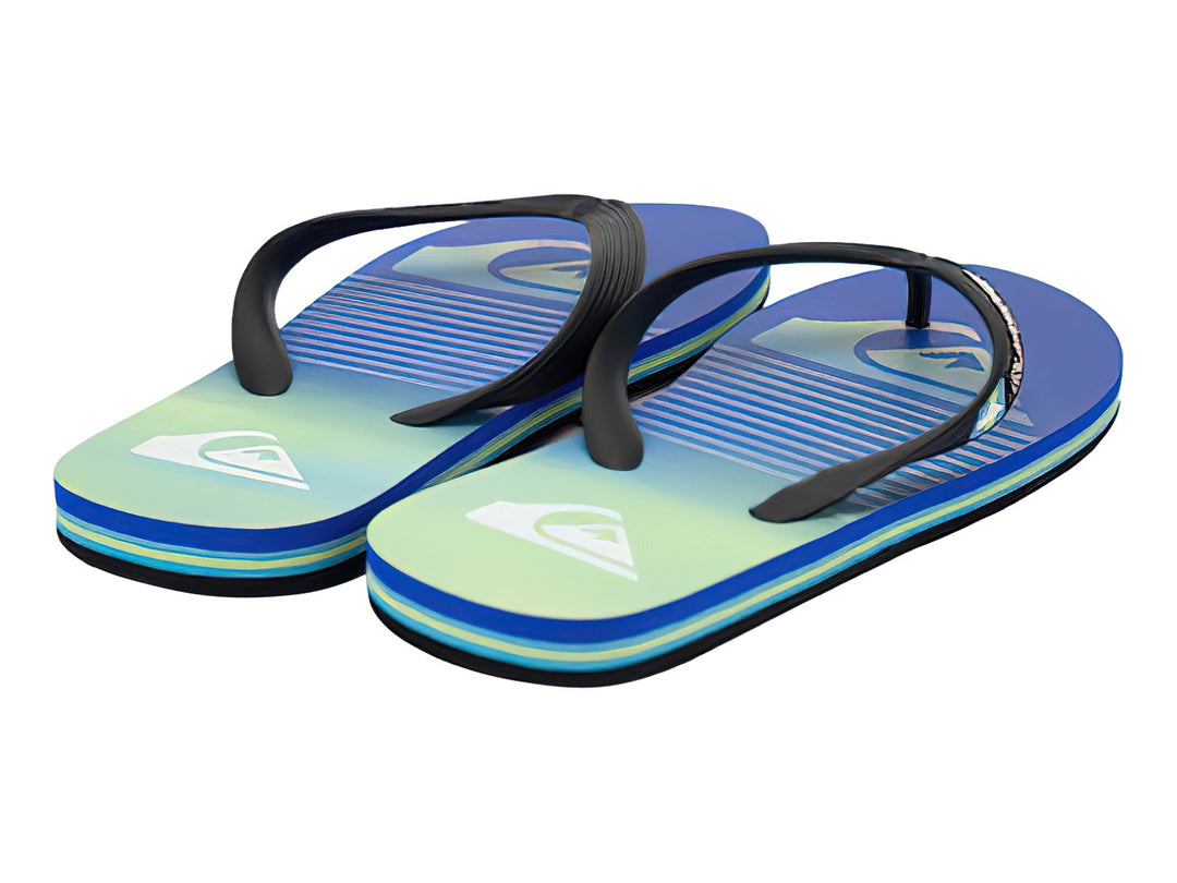 Sandalias Quiksilver Molokai Art Multicolor para Hombre