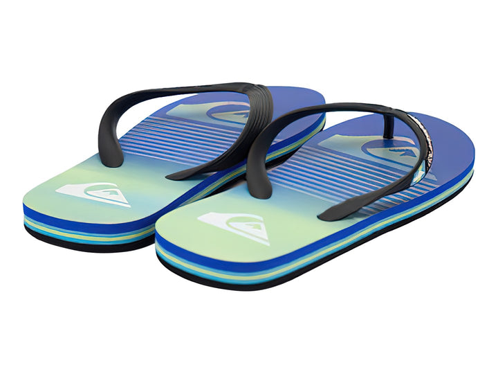 Sandalias Quiksilver Molokai Art Multicolor para Hombre
