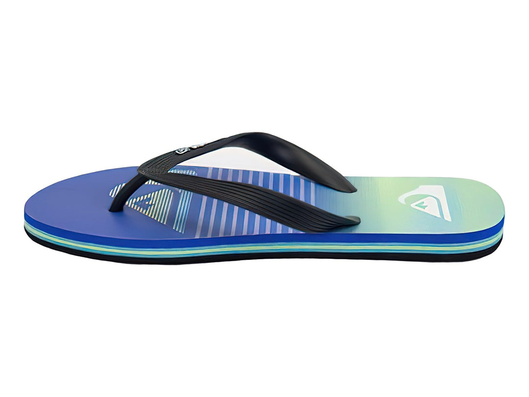 Sandalias Quiksilver Molokai Art Multicolor para Hombre