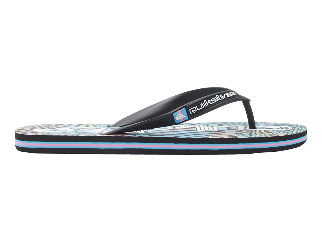 Sandalias Quiksilver Molokai Art Multicolor para Hombre