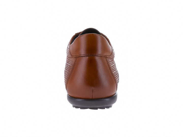 Zapato casual Gino Cherruti color canela con textura rugosa, agujetas y suela en color negro.