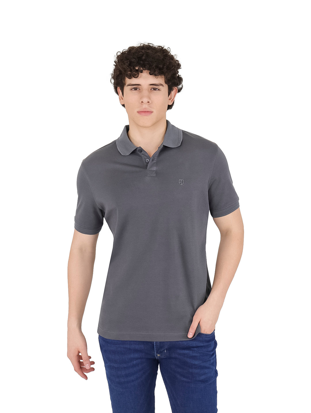Playera Polo Boroni Gris para Hombre