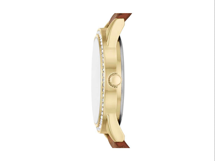 Set de 3 piezas para Mujer marca Folio en color café, incluye reloj, cartera y pulsera de cuentas.