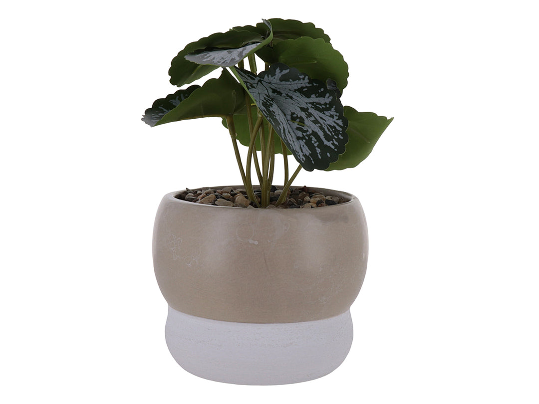 Planta artificial en maceta decorativa de cerámica bicoloreada en beige y blanco.
