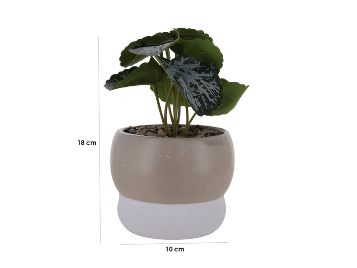 Planta artificial en maceta decorativa de cerámica bicoloreada en beige y blanco.