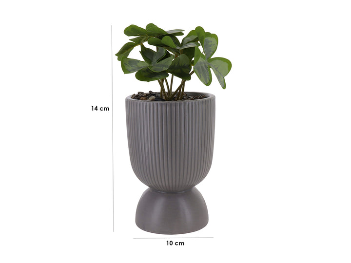 Planta artificial en maceta decorativa de dolomita color gris con textura acanalada y base circular.