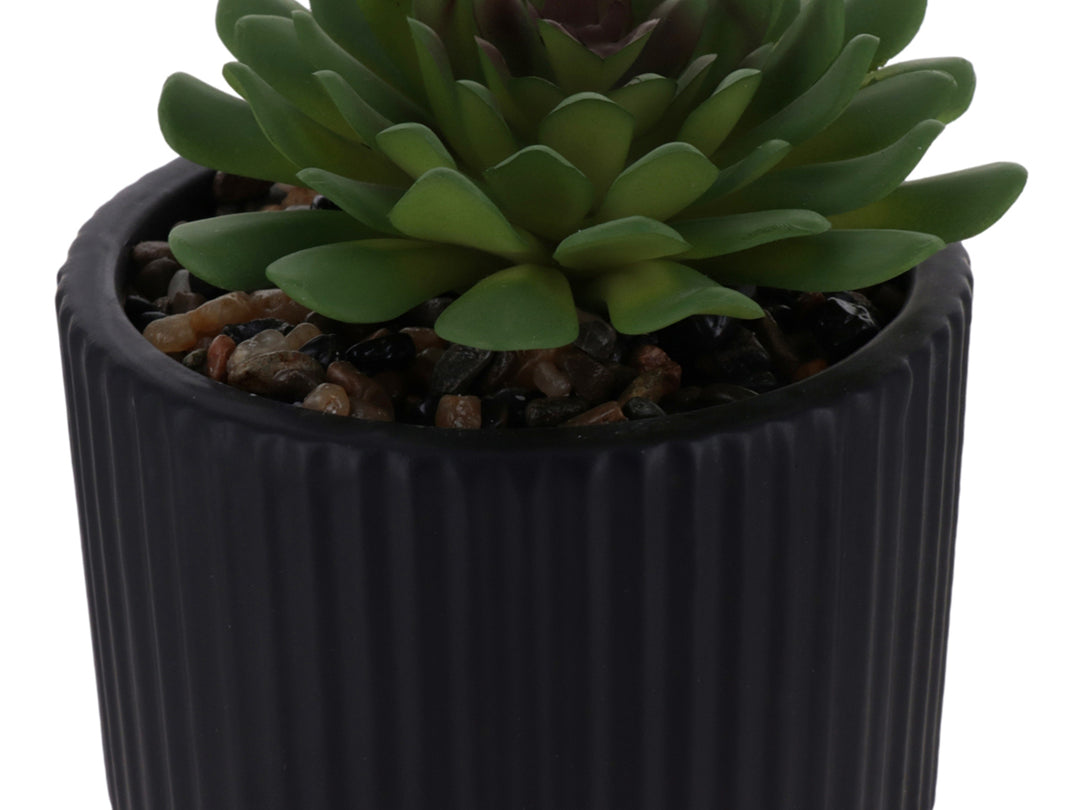 Planta artificial suculenta en maceta decorativa de dolomita color negro con textura acanalada.
