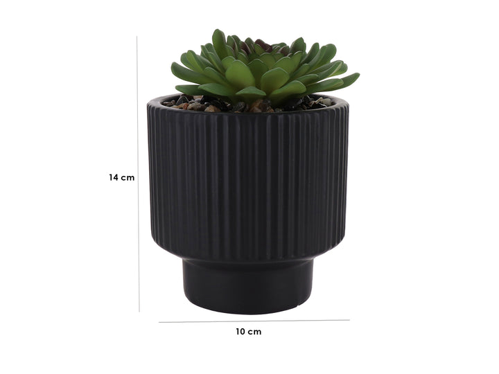 Planta artificial suculenta en maceta decorativa de dolomita color negro con textura acanalada.