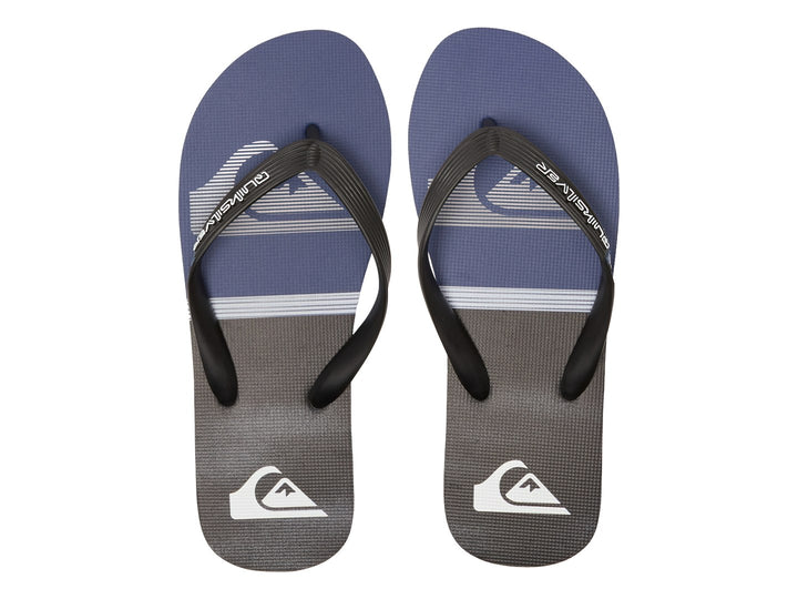 Sandalias Quiksilver Molokai Sion Gris para Hombre