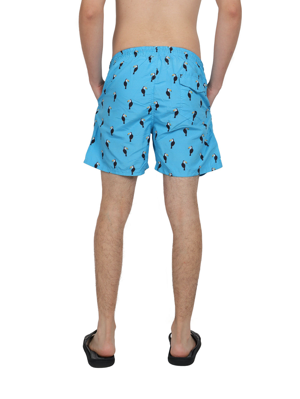 Traje de baño corto color azul cielo con estampado de tucanes negros.