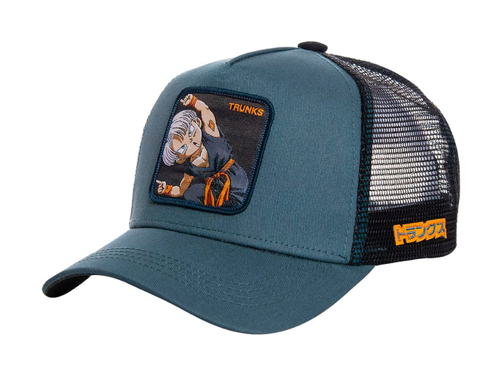 Gorra Caps Lab Dragon Ball Z Gris para Hombre