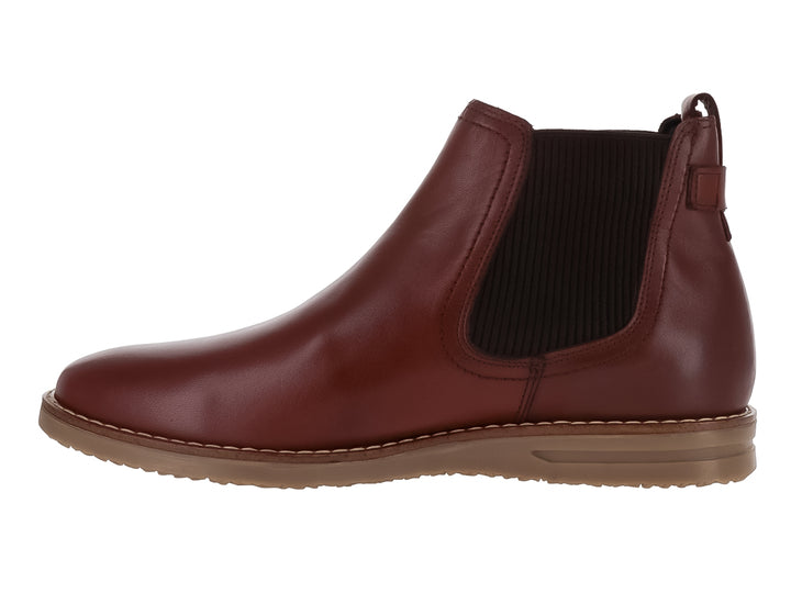 Botas Gino Cherruti Café para Niño