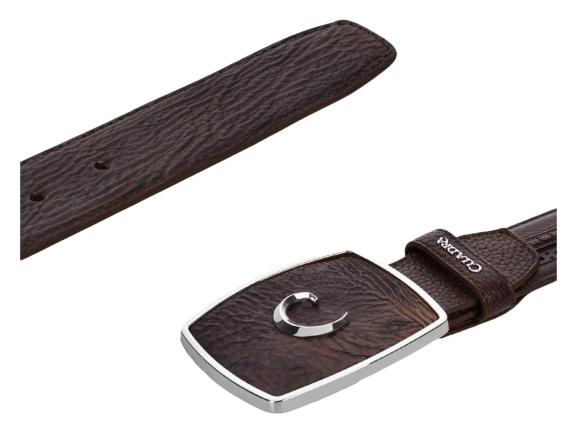 Cinturón Cuadra marrón de piel de tiburón con hebilla rectangular plateada y detalles perforados.