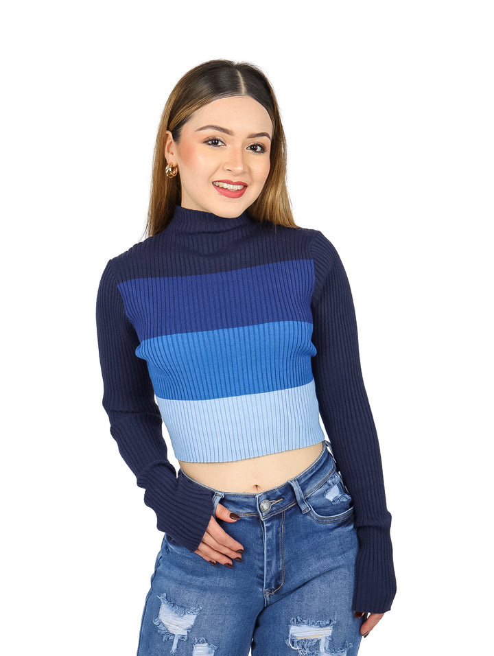 Blusa crop de cuello alto y manga larga con rayas horizontales en tonos de azul.