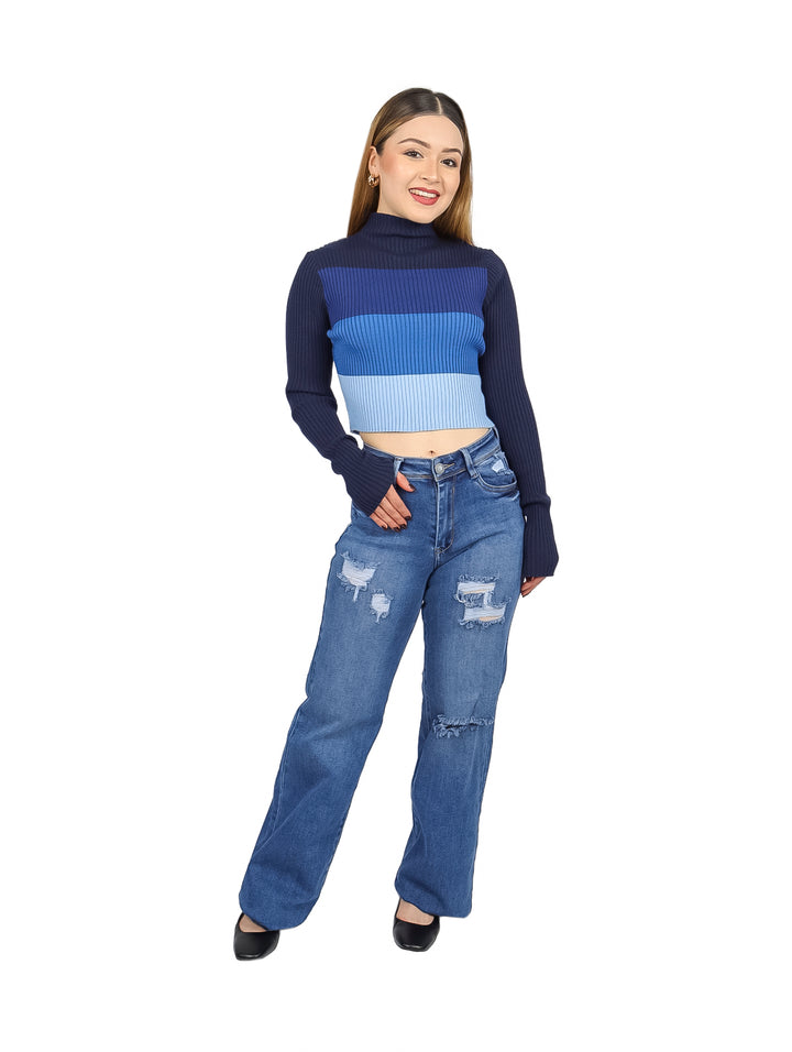 Blusa crop de cuello alto y manga larga con rayas horizontales en tonos de azul.