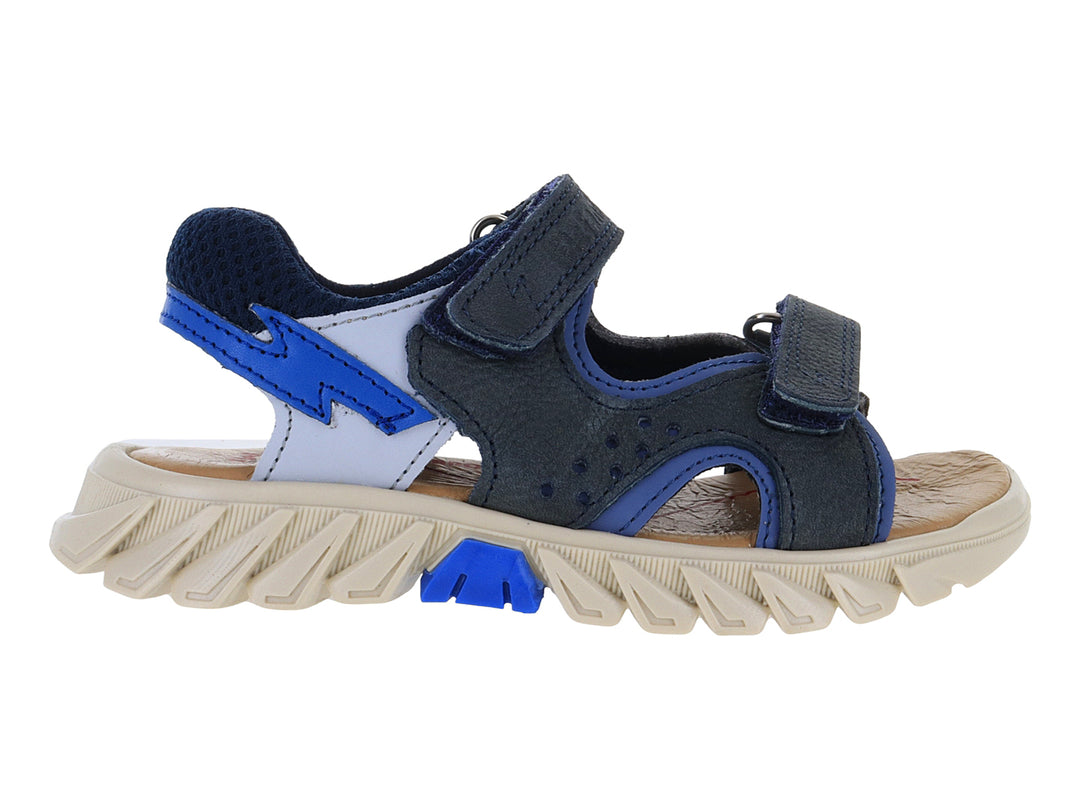 Sandalias Gladiador Elefante Azul Marino para Niño