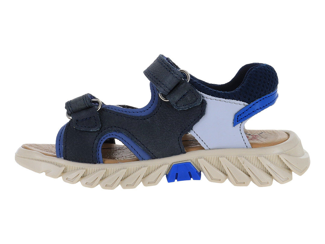 Sandalias Gladiador Elefante Azul Marino para Niño