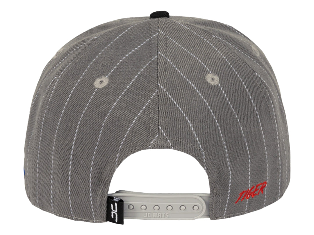 Gorra Snapback JC Hats Tiger Gris
