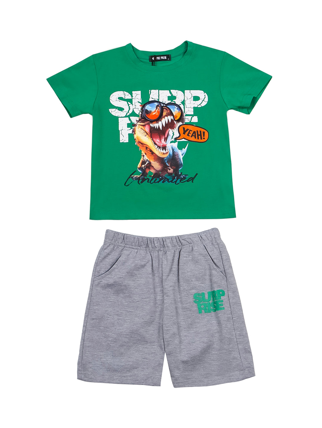 Niño vistiendo un conjunto de camiseta verde con estampado de dinosaurio y shorts grises.