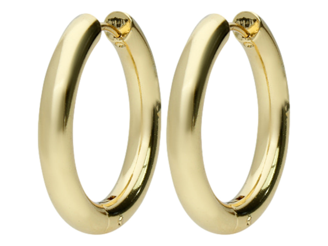 Par de aretes tipo arracada en color dorado con acabado brillante y forma circular.