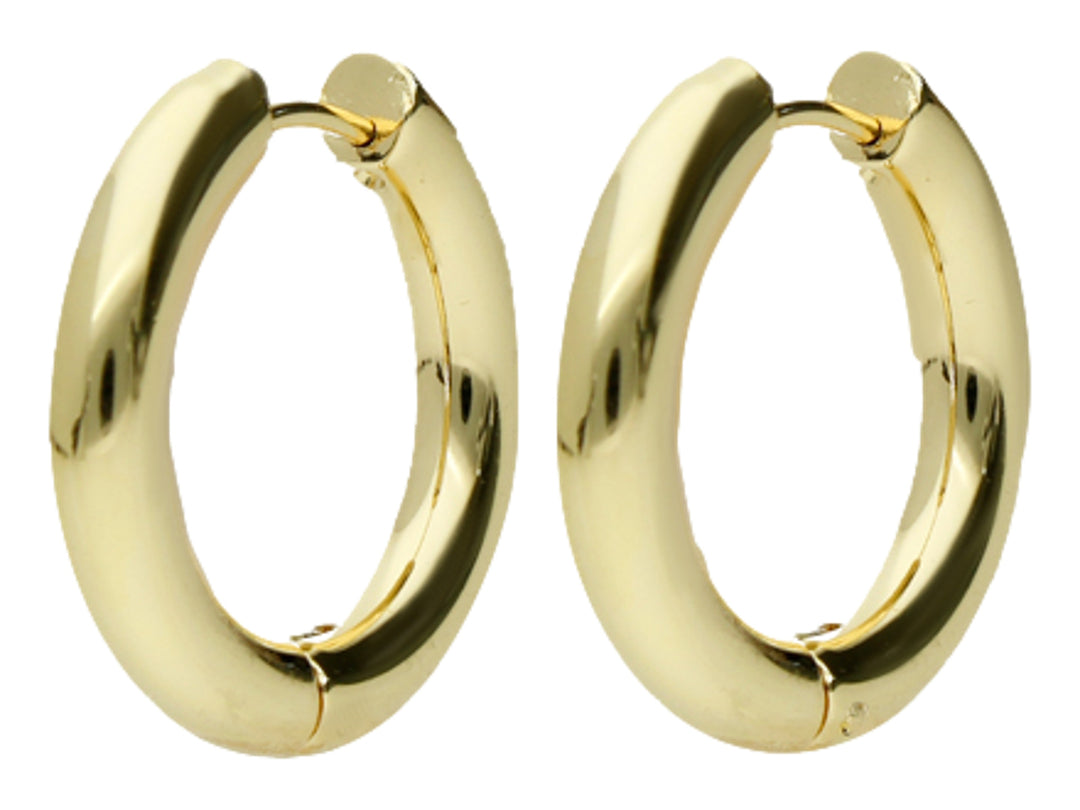 Par de aretes tipo arracada en color dorado con acabado brillante y forma circular.