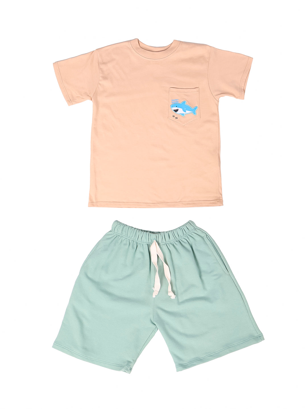 Conjunto para niño con camiseta color café claro y short color verde menta.