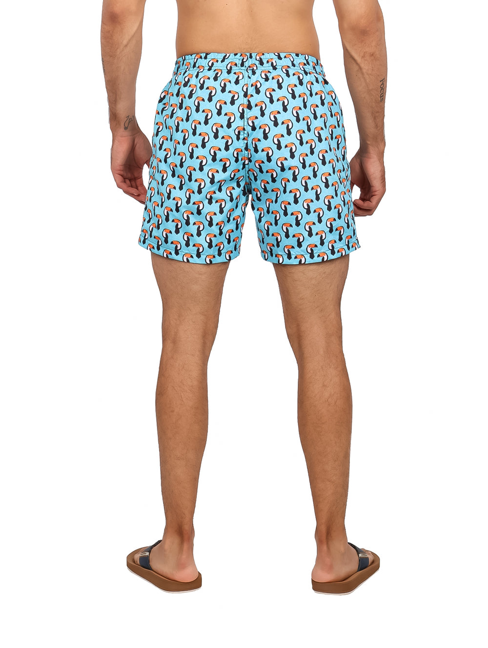 Traje de baño corto color azul claro con estampado de tucanes para hombre.