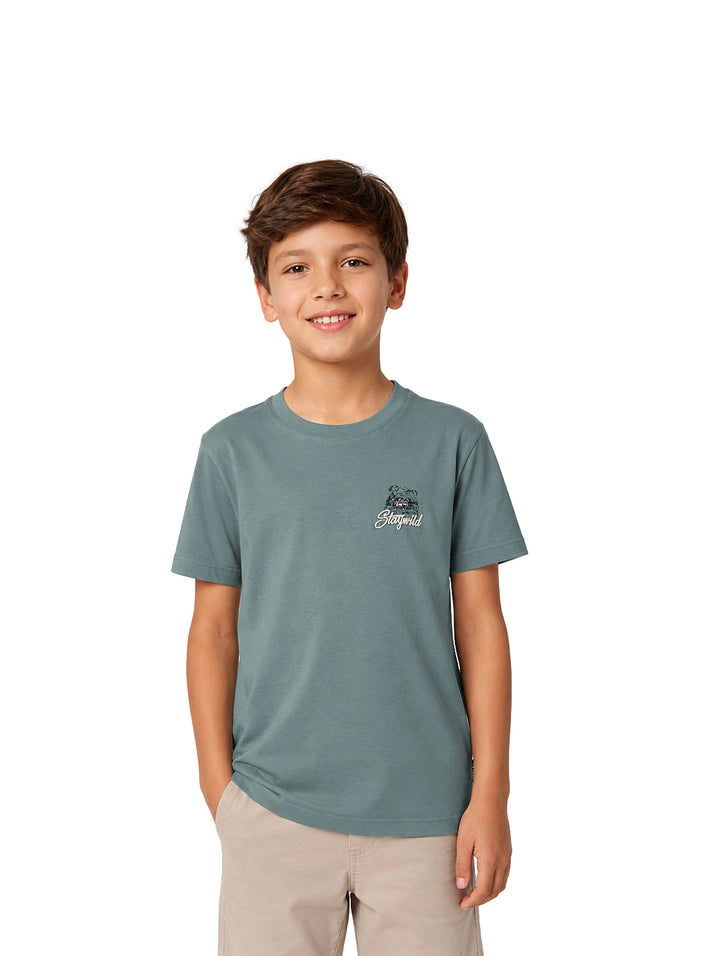 Niño vistiendo una camiseta de color verde sage con un estampado pequeño en el pecho.