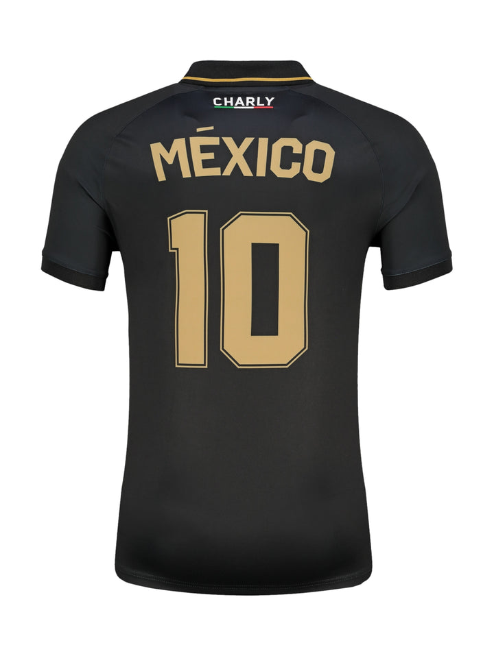Jersey de fútbol Charly color negro con franja vertical verde, blanca y roja y número 10 en dorado.